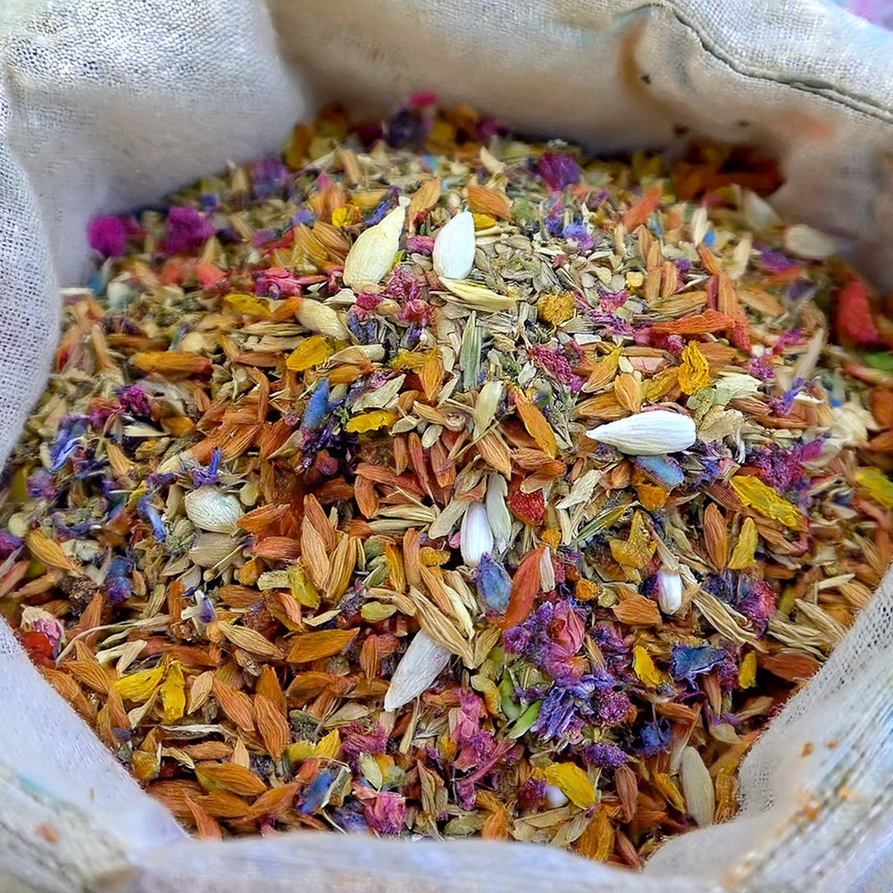 🍄🇺🇸GFOUK® Charming Blossom Seeds🔥🔥🔥