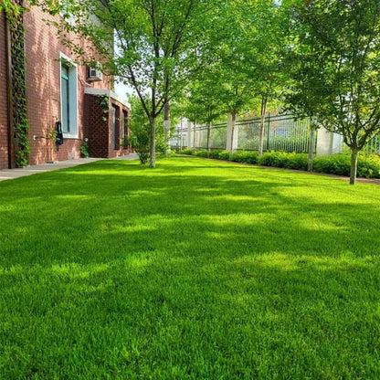 🌾 Stop Waiting Months for a Lawn！ Grow Lush Grass in Just 7 Days🔜Hydro Seeding Lawn Solution🚫 —Create Your Perfect Lawn, Starting Here!