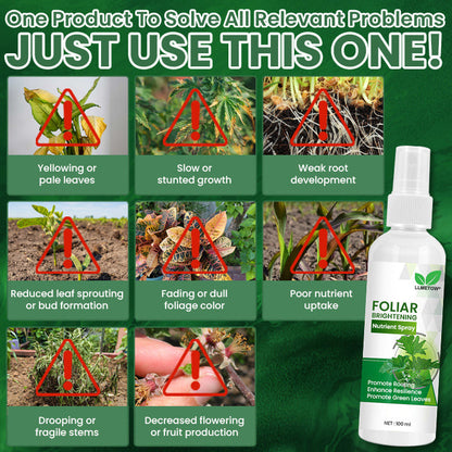 LLMETOW® Foliar Brightening Nutrient Spray