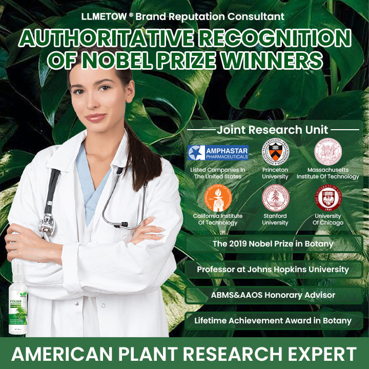 LLMETOW® Foliar Brightening Nutrient Spray