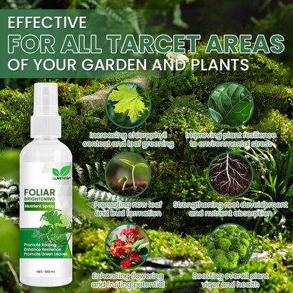 LLMETOW® Foliar Brightening Nutrient Spray