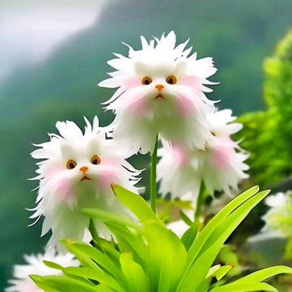 🍒🇺🇸GFOUK® Charming Blossom Seeds🔥🔥🔥