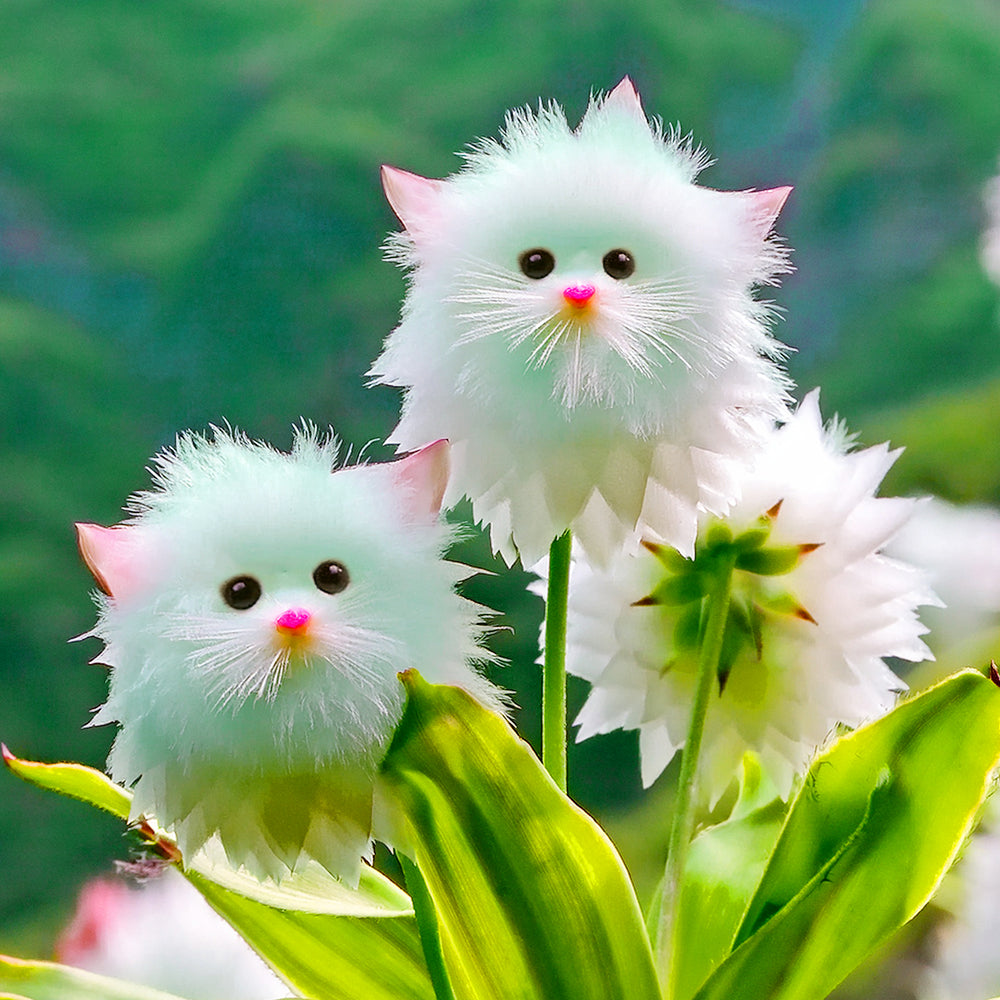 🍒🇺🇸GFOUK® Charming Blossom Seeds🔥🔥🔥