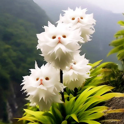 🍒🇺🇸GFOUK® Charming Blossom Seeds🔥🔥🔥