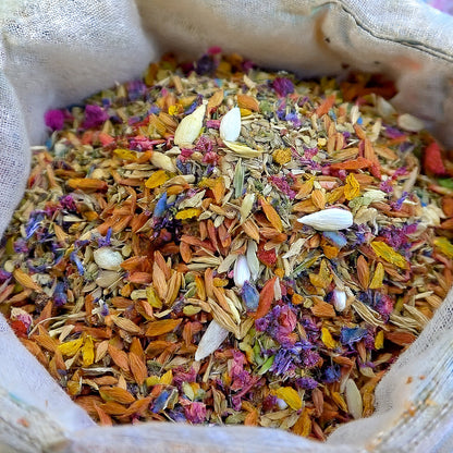 🍒🇺🇸GFOUK® Charming Blossom Seeds🔥🔥🔥