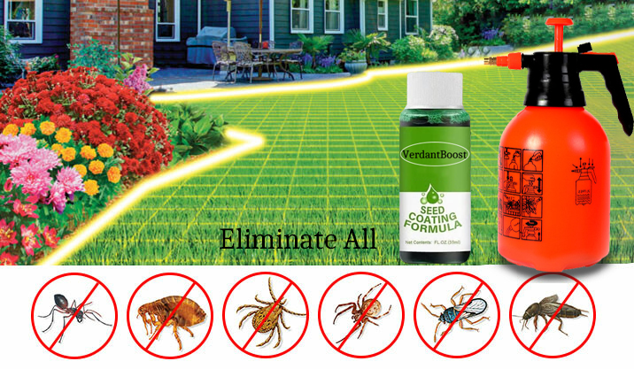 🌾 Stop Waiting Months for a Lawn！ Grow Lush Grass in Just 7 Days🔜Hydro Seeding Lawn Solution🚫 —Create Your Perfect Lawn, Starting Here!