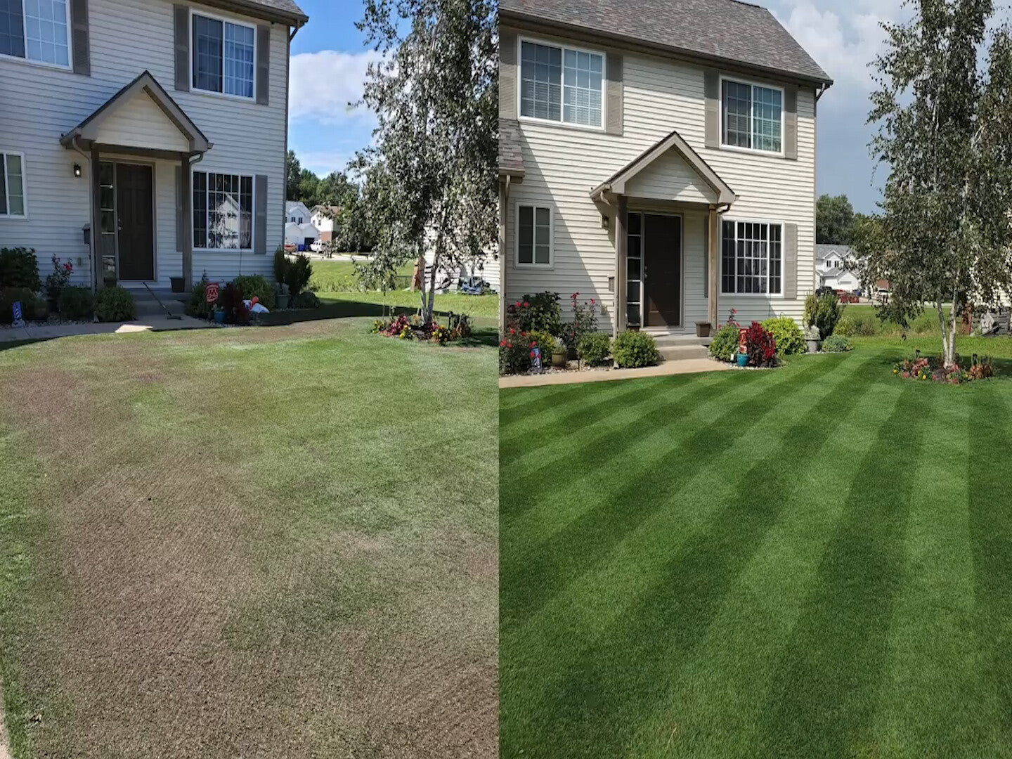 🌾 Stop Waiting Months for a Lawn！ Grow Lush Grass in Just 7 Days🔜Hydro Seeding Lawn Solution🚫 —Create Your Perfect Lawn, Starting Here!
